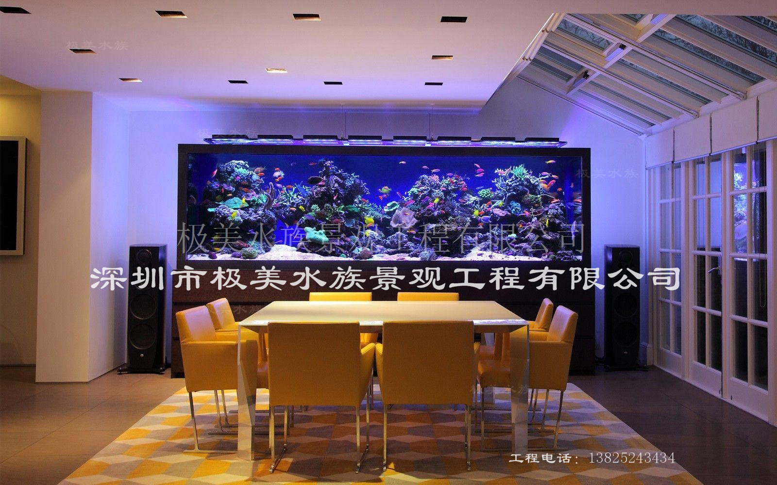 大型觀賞魚缸展示